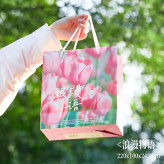 ساک دستی هدیه پاکت کادو فانتزی وارداتی از چین