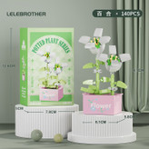 لگو گل سری گیاهان گلدانی potted plants