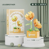 لگو گل سری گیاهان گلدانی potted plants